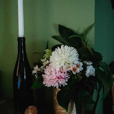 公寓 O Saudade - Centre *