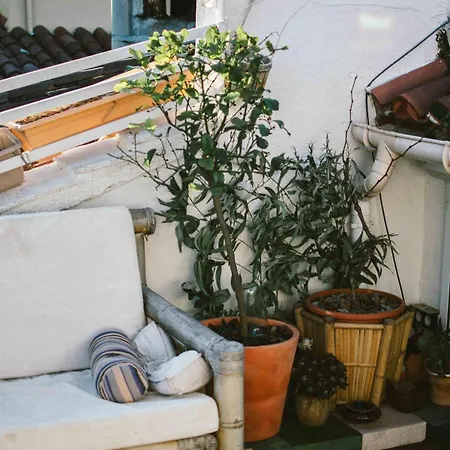 O Saudade - Centre 佩皮尼昂