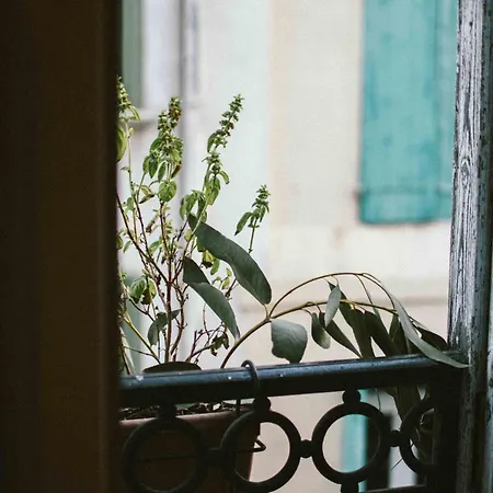 公寓 O Saudade - Centre