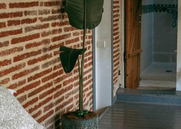 O Saudade - Centre *