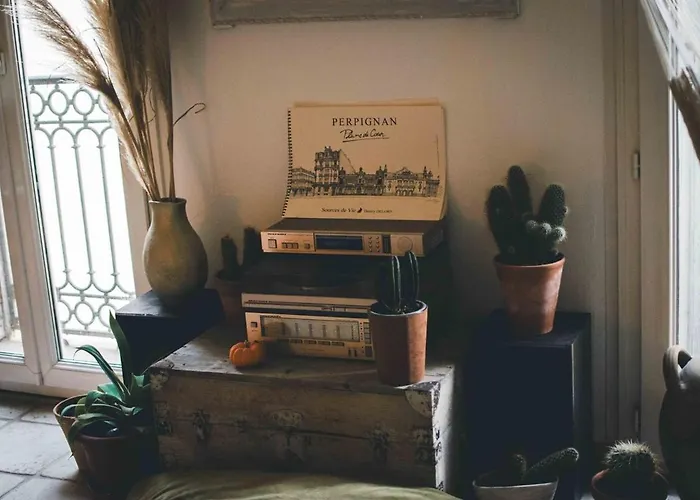 Apartament O Saudade - Centre Perpignan