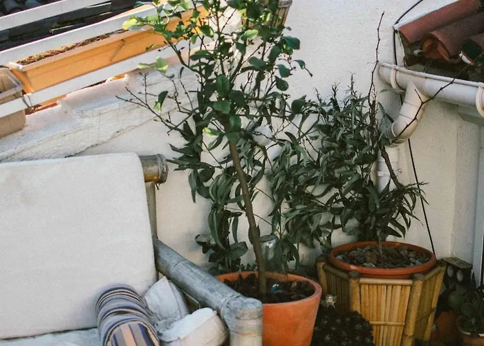 O Saudade - Centre Perpignan