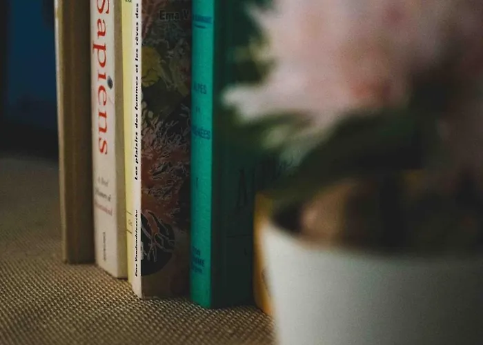 Apartment O Saudade - Centre *