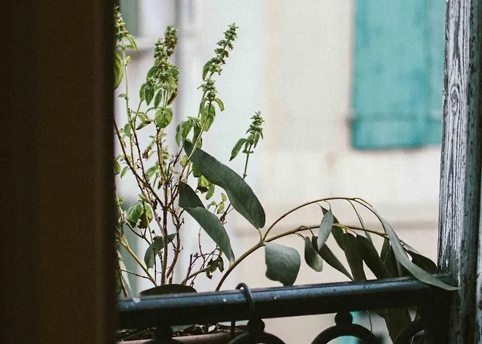 Apartament O Saudade - Centre